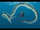 https://image.noelshack.com/fichiers/2026/05/6/1769866785-gghttt.png