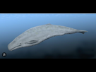 https://image.noelshack.com/fichiers/2026/05/7/1769972794-aulophyseter-morricei.png