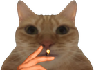 https://image.noelshack.com/fichiers/2026/07/4/1770920779-full-96.png