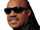 https://image.noelshack.com/fichiers/2026/07/6/1771028737-apres-11-ans-de-mariage-stevie-wonder-divorce.png