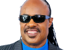 https://image.noelshack.com/fichiers/2026/07/6/1771028757-stevie-wonder.png