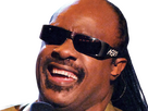 https://image.noelshack.com/fichiers/2026/07/6/1771028772-stevie-wonder.png