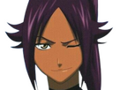 https://image.noelshack.com/fichiers/2026/08/4/1771498015-bleach-yoruichi-icon-removebg-preview-modifi.png