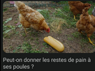 https://image.noelshack.com/fichiers/2026/09/1/1771877649-img-20260223-205506.jpg