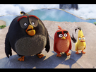 https://image.noelshack.com/fichiers/2026/09/7/1772392669-angry-birds-movie.jpg
