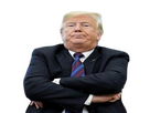 https://image.noelshack.com/fichiers/2026/12/4/1773881228-l-air-d-bile-de-donald-trump.png