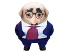 https://image.noelshack.com/fichiers/2026/14/7/1775410961-cpasmoi.png