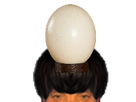 https://image.noelshack.com/fichiers/2026/15/2/1775524884-oeuf-autruche.png