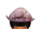 https://image.noelshack.com/fichiers/2026/15/2/1775592920-blobfish.png