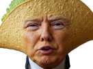 https://image.noelshack.com/fichiers/2026/15/3/1775607965-taco.png