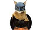 https://image.noelshack.com/fichiers/2026/15/5/1775783689-chatbatman.png