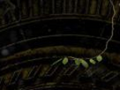 https://image.noelshack.com/fichiers/2026/15/7/1775999404-6-atxad4s3.png