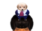 https://image.noelshack.com/fichiers/2026/15/7/1776021704-pelo.png