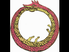 https://image.noelshack.com/fichiers/2026/16/3/1776226088-ouroboros.png