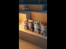 https://image.noelshack.com/fichiers/2026/16/3/1776260479-ezgif-17de6fed69c8fbf7.gif
