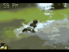 https://image.noelshack.com/fichiers/2026/16/3/1776261823-1768971324321753.gif