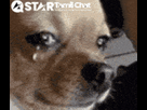 https://image.noelshack.com/fichiers/2026/16/3/1776270414-star-tamil-chat-sanjay-chat.gif