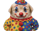 https://image.noelshack.com/fichiers/2026/17/6/1777097322-chien-clown.jpg