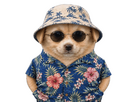 https://image.noelshack.com/fichiers/2026/17/7/1777204402-chien-vac.jpg