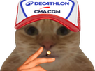 https://image.noelshack.com/fichiers/2026/18/1/1777320060-chat-casquette-decathlon-cma-cgm.png