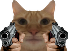 https://image.noelshack.com/fichiers/2026/18/5/1777603727-1000002042.png