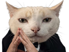 https://image.noelshack.com/fichiers/2026/19/4/1778190630-full.png