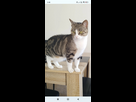 https://image.noelshack.com/fichiers/2026/20/3/1778633316-screenshot-2026-05-13-02-48-21-210-com-android-chrome.jpg