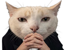 https://image.noelshack.com/fichiers/2026/20/4/1778764855-a9818c62-5068-4390-a274-005ac769ee96-photoroom.png