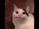 https://image.noelshack.com/fichiers/2026/24/4/1781156890-14120.jpg