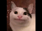 https://image.noelshack.com/fichiers/2026/25/2/1781593801-14758.jpg