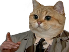 https://image.noelshack.com/fichiers/2026/25/4/1781755955-full-9.png