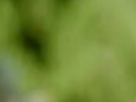 https://image.noelshack.com/fichiers/2026/25/5/1781862828-10-heos48gv.png