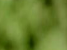https://image.noelshack.com/fichiers/2026/25/5/1781862828-5-heos48gv.png