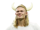 https://image.noelshack.com/fichiers/2026/27/3/1782857148-haalandviking.png
