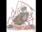 https://image.noelshack.com/fichiers/2026/28/1/1783353762-zipoushin-infectious-legion-creature-design-toad-horror-magic-beast-undead-monster-traditional-pencil-drawing-2026-v1.jpg