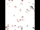 https://image.noelshack.com/fichiers/2026/28/6/1783777687-1000040180.gif