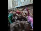https://image.noelshack.com/minis/2026/31/4/1785435130-img-20260619-184424.png