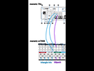 [Image: 1785780621-untitled-1-6-1-1-1-1.png]