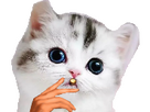 https://image.noelshack.com/fichiers/2026/35/2/1787612401-gxxx.png