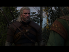 https://image.noelshack.com/fichiers/2026/38/1/1789413177-the-witcher-3-screenshot-2026-09-14-20-55-06-40.jpg