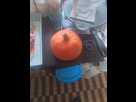 https://image.noelshack.com/minis/2026/40/4/1790885759-1663.png