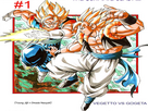 1792365911-gogeta-vs-vegetto.jpg - envoi d'image avec NoelShack